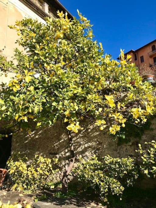 لا سبيتسْيا Villa Livia المظهر الخارجي الصورة